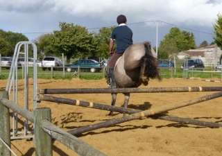  Día del caballo 